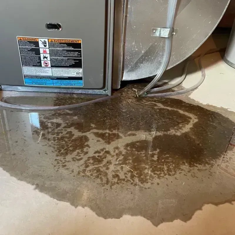 Appliance Leak Cleanup in Reading, MI